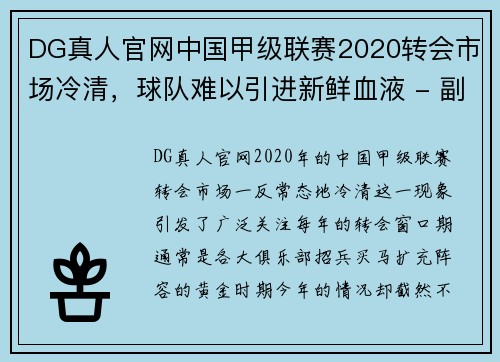 DG真人官网中国甲级联赛2020转会市场冷清，球队难以引进新鲜血液 - 副本